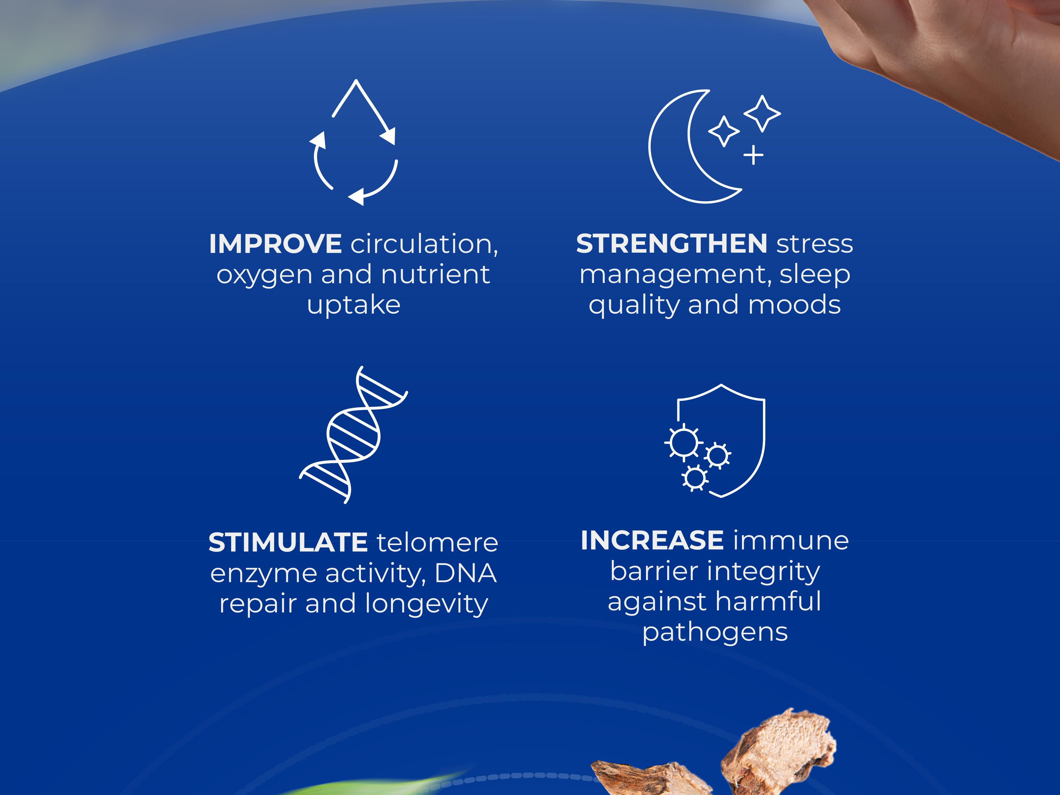 Activate Your Youthful Energy, Glowing Skin, and Longevity with YOUTH SWITCH – All-Natural Age Defying Supplement