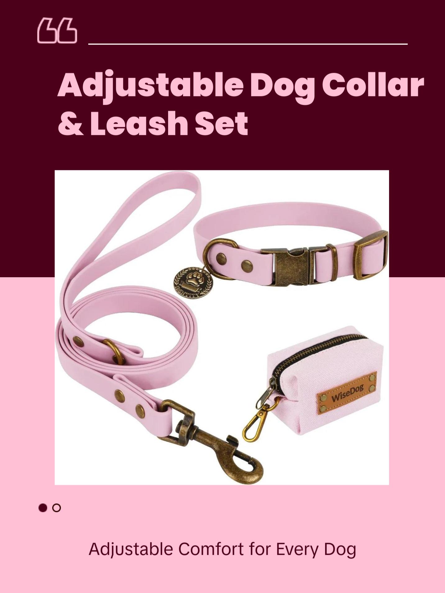 Dog Collar and Leash Set Combination Adjustable Durable Pet Collar with Dog Leash