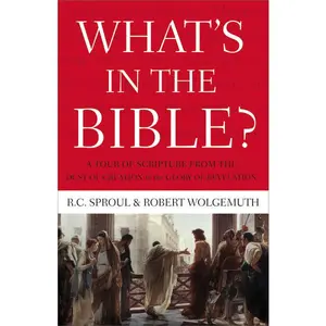 What's In the Bible: A Tour of Scripture from the Dust of Creation to the Glory of Revelation