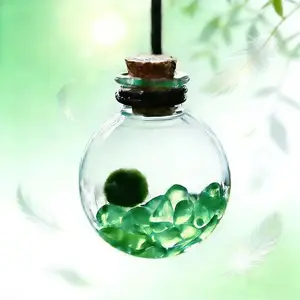 Verdant Green Live Marimo Micro-Landscape Pendant - Self-Sustaining Closed Ecosystem, Portable Aquarium Pet Habitat & Natural Desk Decor (Includes LIVELY Moss Ball Pet)