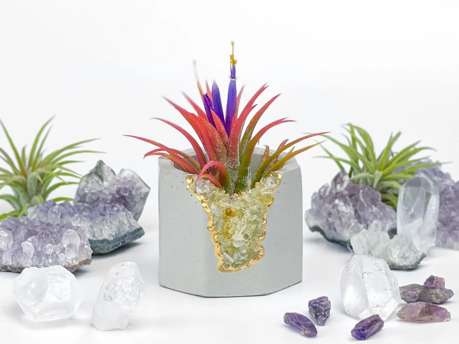 Geode Plant Holder Tumbled Citrine Stone Pot Air Plant gift