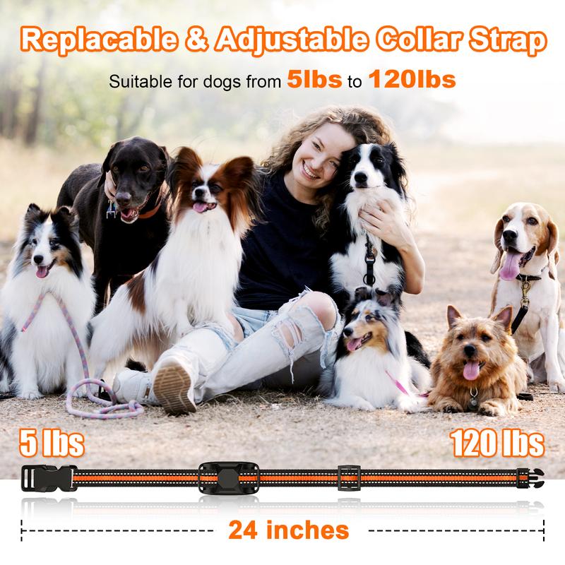 Dog Collar 2 Dogs-3300FT Dog Training Collar with Remote，IP67 Waterproof E Collar for Dogs（5-120lbs） #cozyvibes #petlife