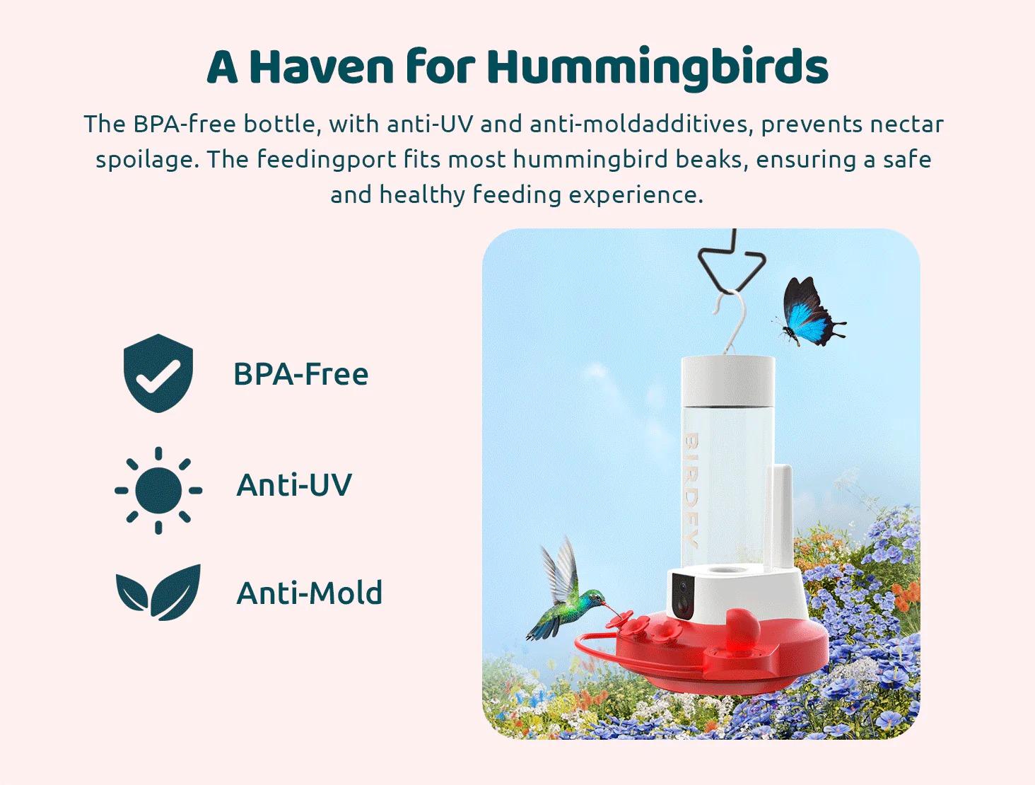 Birdfy Hum Feeder Duo with Dual Camera - 2K High-Resolution Cameras for Hummingbird Behavior and Appearance