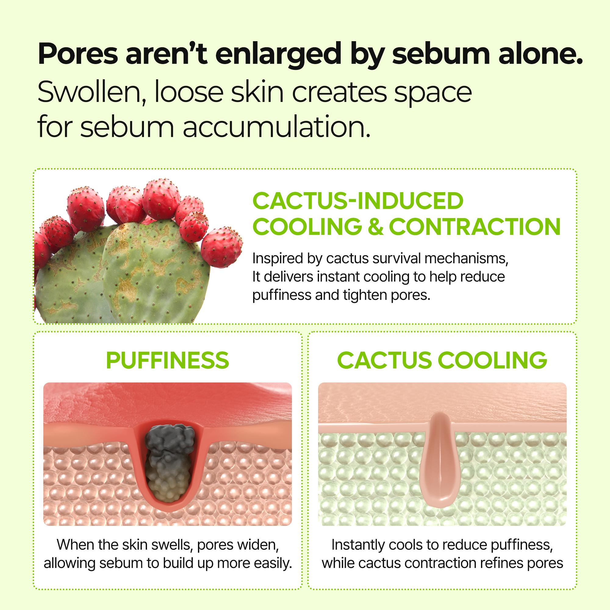 [Dr.Melaxin Official] CACTOX Pore Relief Jelly Serum Mist 80ml with Cactus Cooling & Dehydrated Pore Care