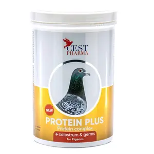 Protein Plus