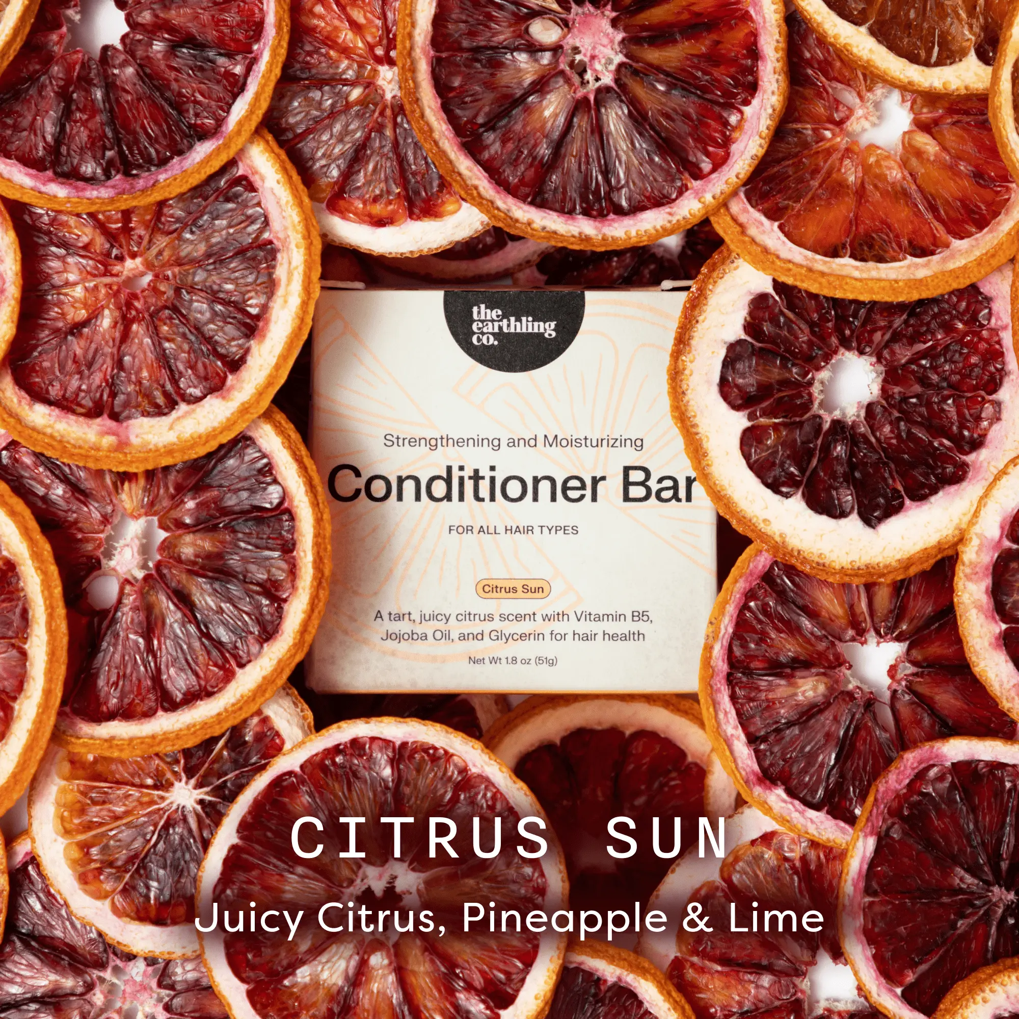 Citrus Sun