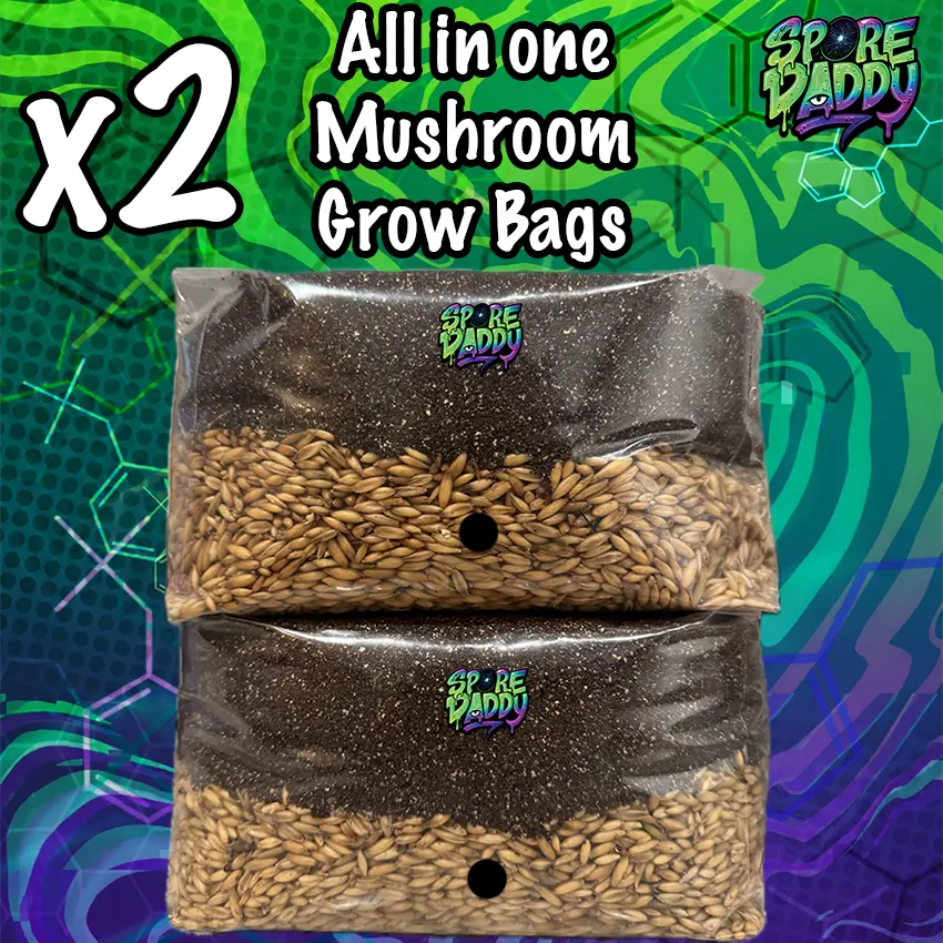 Mushroom Grow Bag | x2 | Manure Substrate/Oats | Spore Daddy