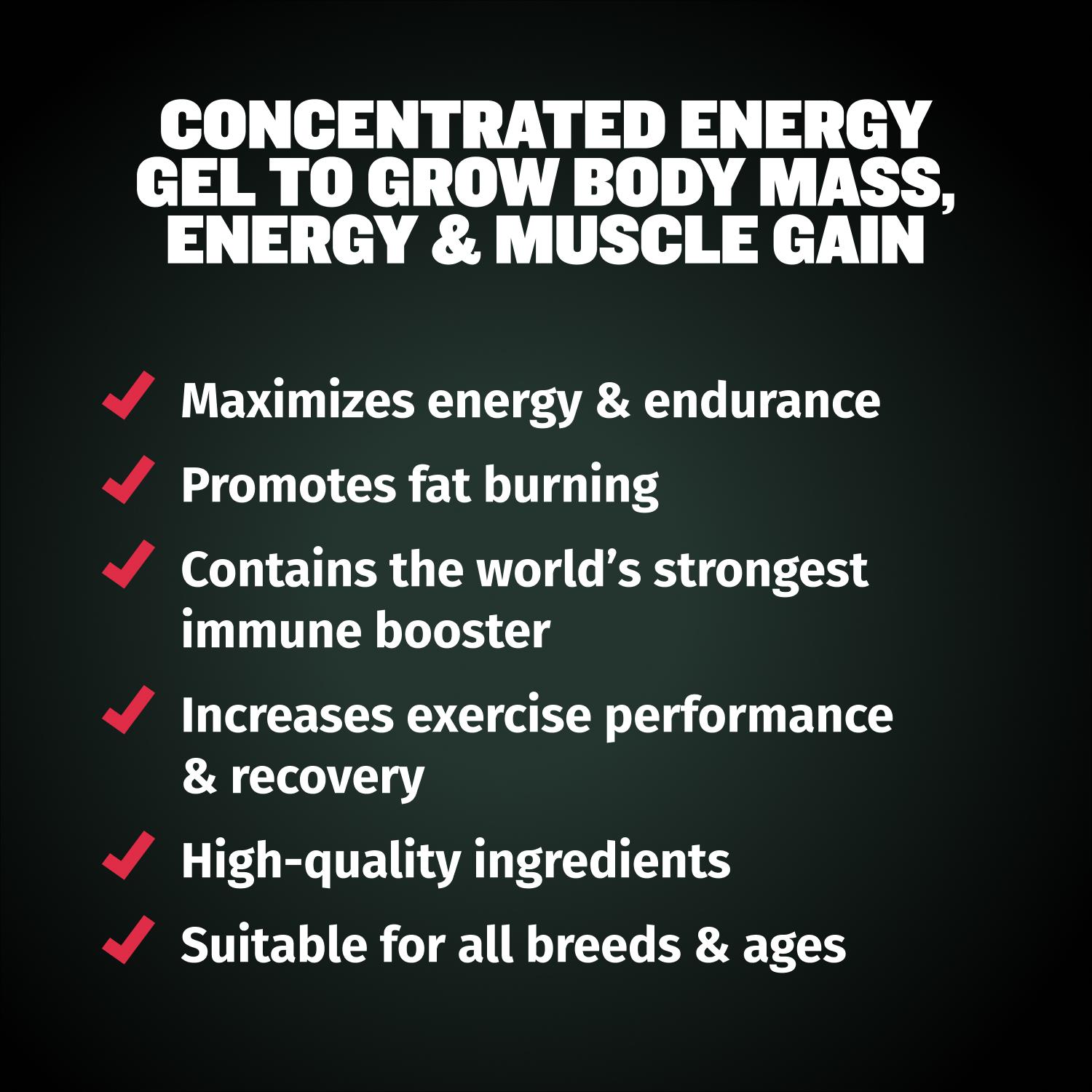 Bully Max 3-in-1 Liquid Dog Muscle Builder Supplement for Puppy and Adults Dogs - Dog Vitamins for Small & Large Breeds - Vet-Approved Dog Supplement