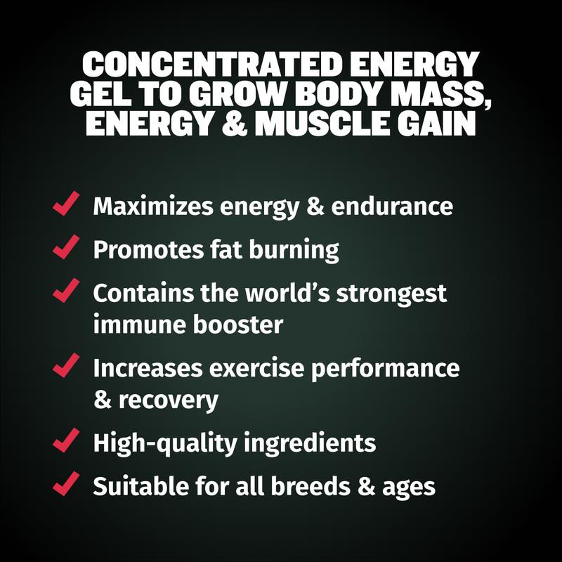 Bully Max 3-in-1 Liquid Dog Muscle Builder Supplement for Puppy and Adults Dogs - Dog Vitamins for Small & Large Breeds - Vet-Approved Dog Supplement