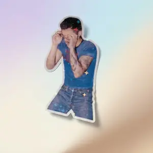 Harry Styles Sticker | Kiss All The Time. Disco, Occasionally | New Album | For Water Bottle, Laptop, or Kindle
