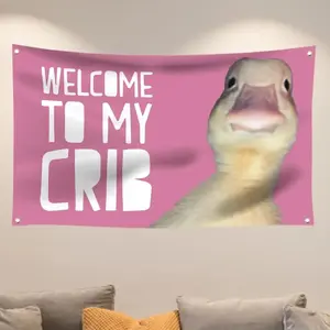 Welcome to My Crib Funny Pink Flag 3X5 Ft for Bedrooms Living Rooms Bars College Dorms Decor,with 4 Brass GrommetsTapestry Decor