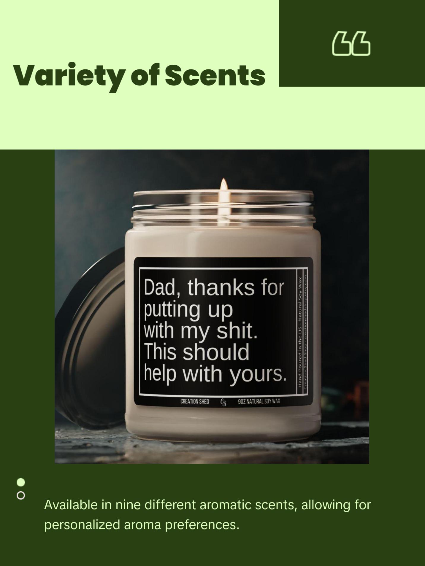 Fathers Day Gift, Funny Gift for Dad, Candle for Dad, Gag Gifts for Dad, Father's Day Gift from Daughter Son, Bonus Dad Gifts for Husband