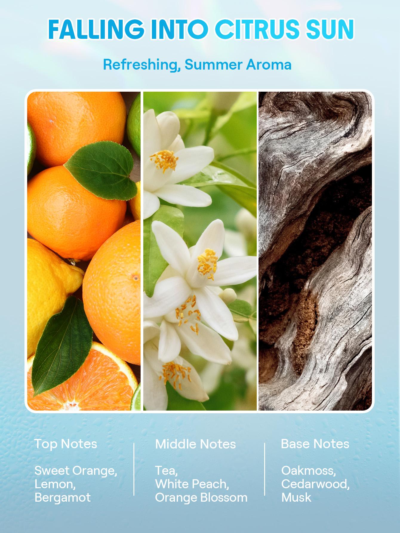 SHEGLAM HAIR Ice Revive Scalp Serum,Cooling Alpine Water Roll,Hair Massage Serum Roll,Soothe Hydrate Scalp,Strenghten Hair Roots,Enhance Scalp Skin Barrier,Reduces Hair,No-Rinse,Fast-Absorbing Daily Nourishing Haircare-Effortlessbeauty