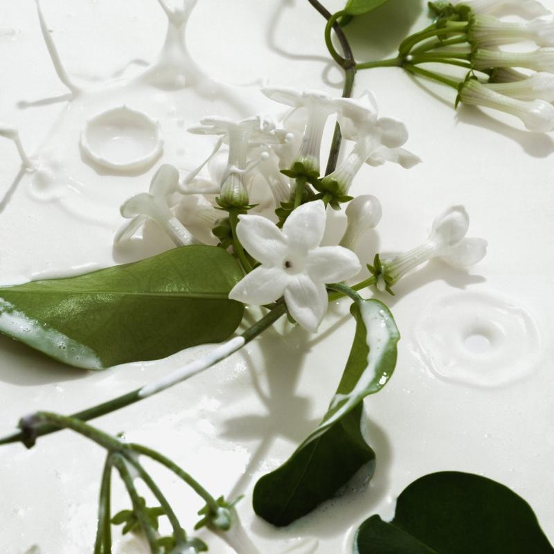 PHLUR Heavy Cream Body Mist - Full Size Hair & Body Fragrance Mist with Marshmallow, Whipped Cream, Jasmine, Coconut Cream & Vanilla (8 fl oz)