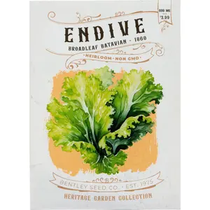 Endive-Broadleaf Batavia 1860 Heirloom