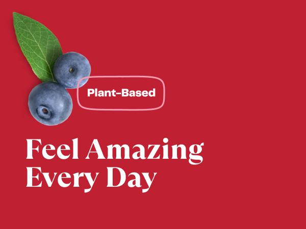 Amazing Grass Greens Blend Berry, 8.5 Oz, 30 Servings Healthcare Supplement Dietary Vitamin