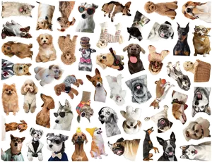 Gift for free (not for sale) Random 9PCS Cute And Funny Meme Stickers for Customers Who Place Orders at the Shop