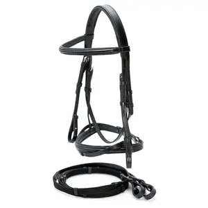 Jeffers Uniquely English "Windsor" Leather Dressage Bridle With Web Reins for Horses