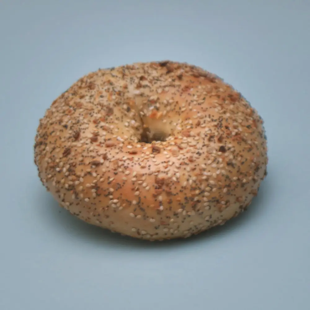 New York City Everything Bagel - Hand-rolled, Kosher, Vegan and Shipped Fresh from NYC