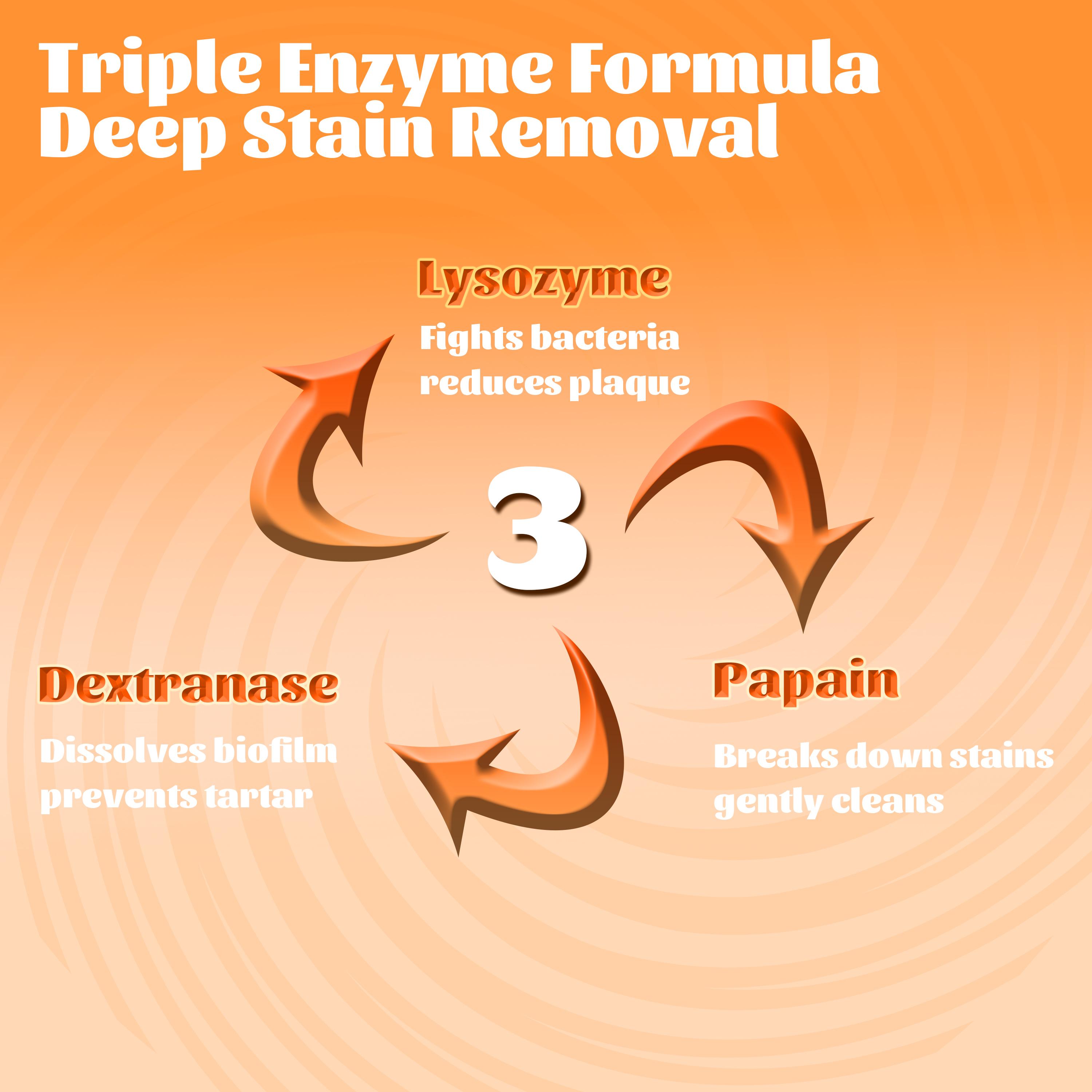 CEELIKE 2-Piece Oral Care Toothpaste Set – Lysozyme Toothpaste to Remove Yellow Stains, Hydroxyapatite to Repair Teeth, and Maintain Fresh Breath