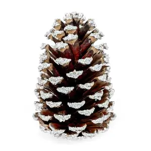 GS Foliage Frosted Pine Cones – Set of 15 Small 3–4" Loblolly Pinecones for Crafts, Christmas & Winter Decor, DIY Ornaments, Vase Fillers, Rustic Wedding Centerpieces & Seasonal Home Styling Events