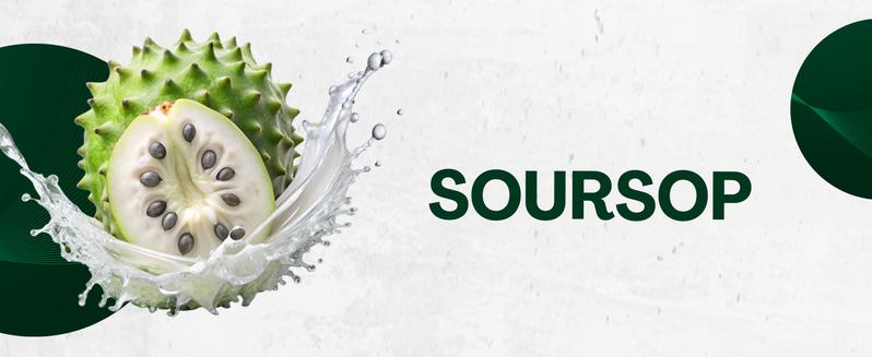 Zoyava Soursop Bitters – Flavored, Extra Strength All-in-One Dietary Supplement Drops, Made in USA – 60mL Nutrition Liquid