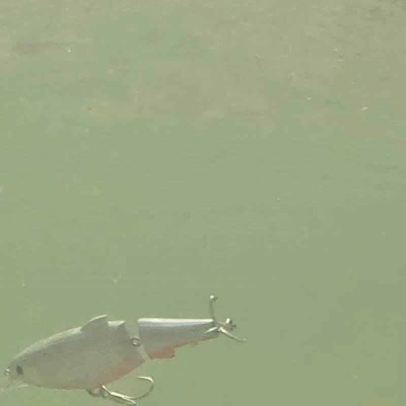 C-Ripper Hybrid Jointed Swimmer