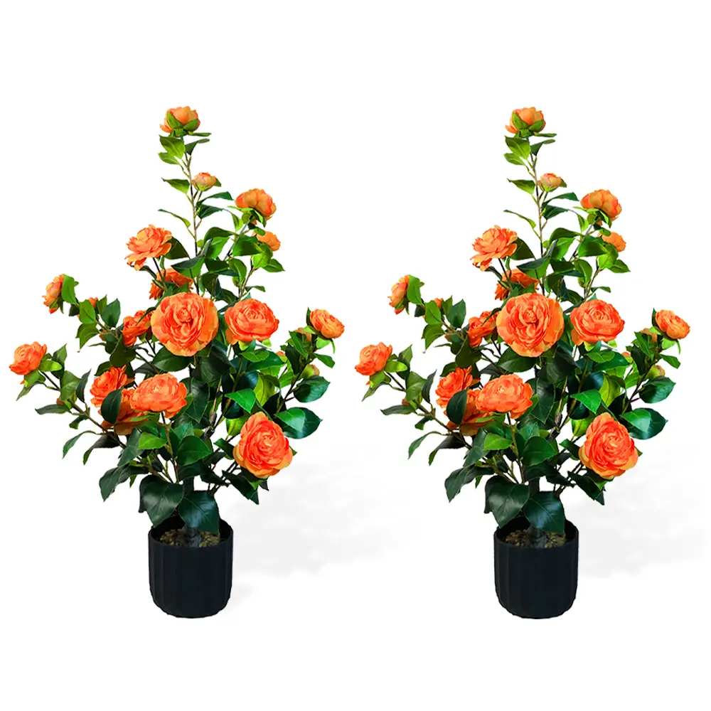 2-piece orange camellia with flower pot