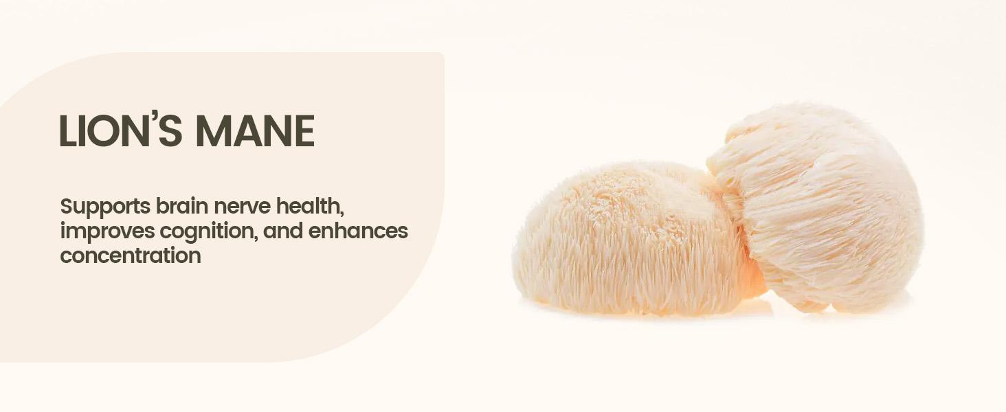 NOORUZ Lion's Mane 900mg - Brain Booster: Focus, Cognitive Boost & Mood Support - With Blueberry Antioxidant Healthcare Bathroom