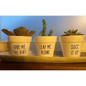 Funny Plant Pot Decals: Succulent & Cactus Humor - Set of 21 – Viral TikTok Car Decal