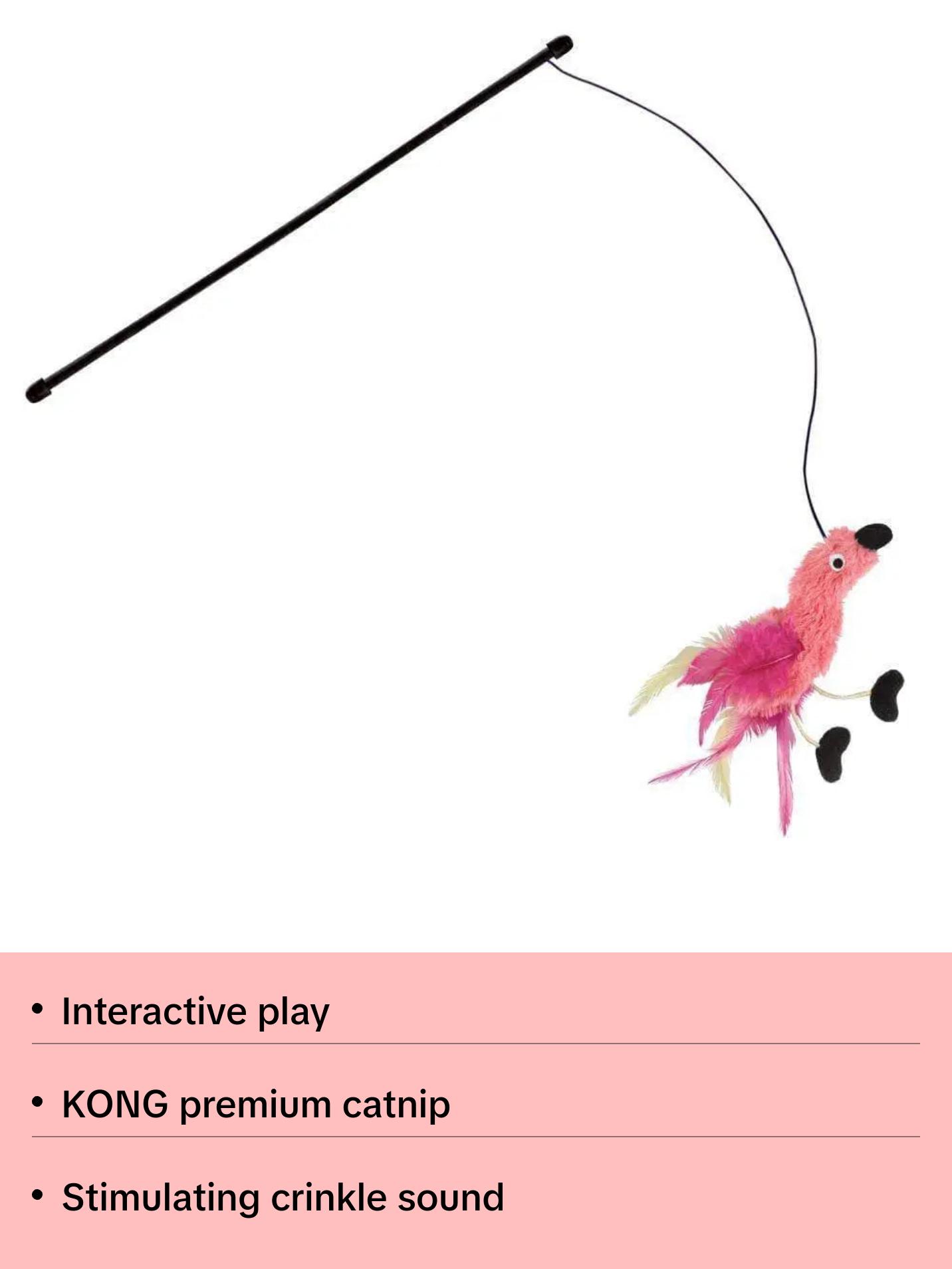 Kong® Feather Teaser Cat Toys Assorted