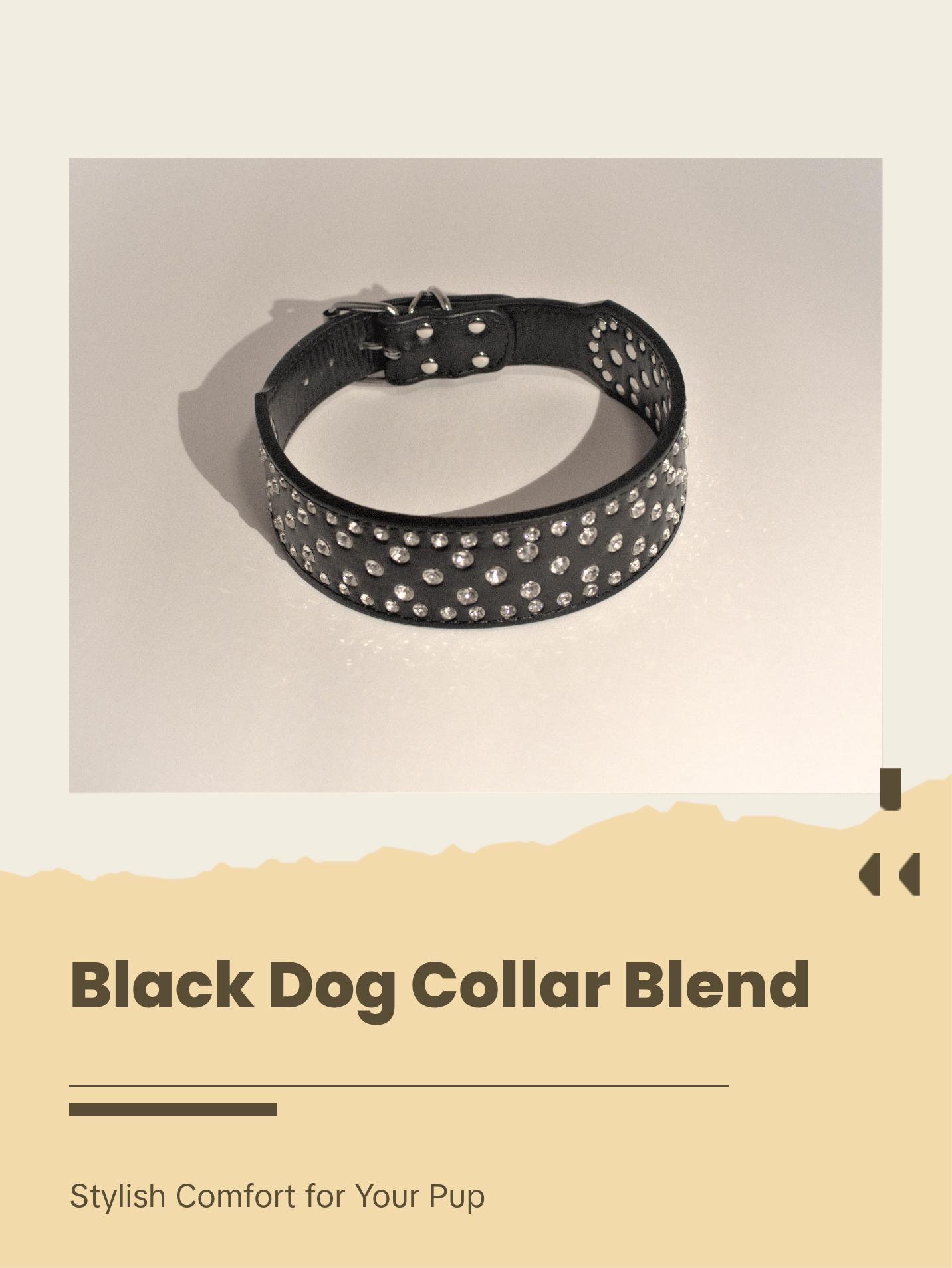 Black Bling Dog Collar