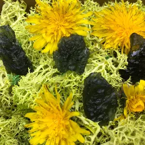 Genuine Moldavite  Rare Czech Meteorite Tektite