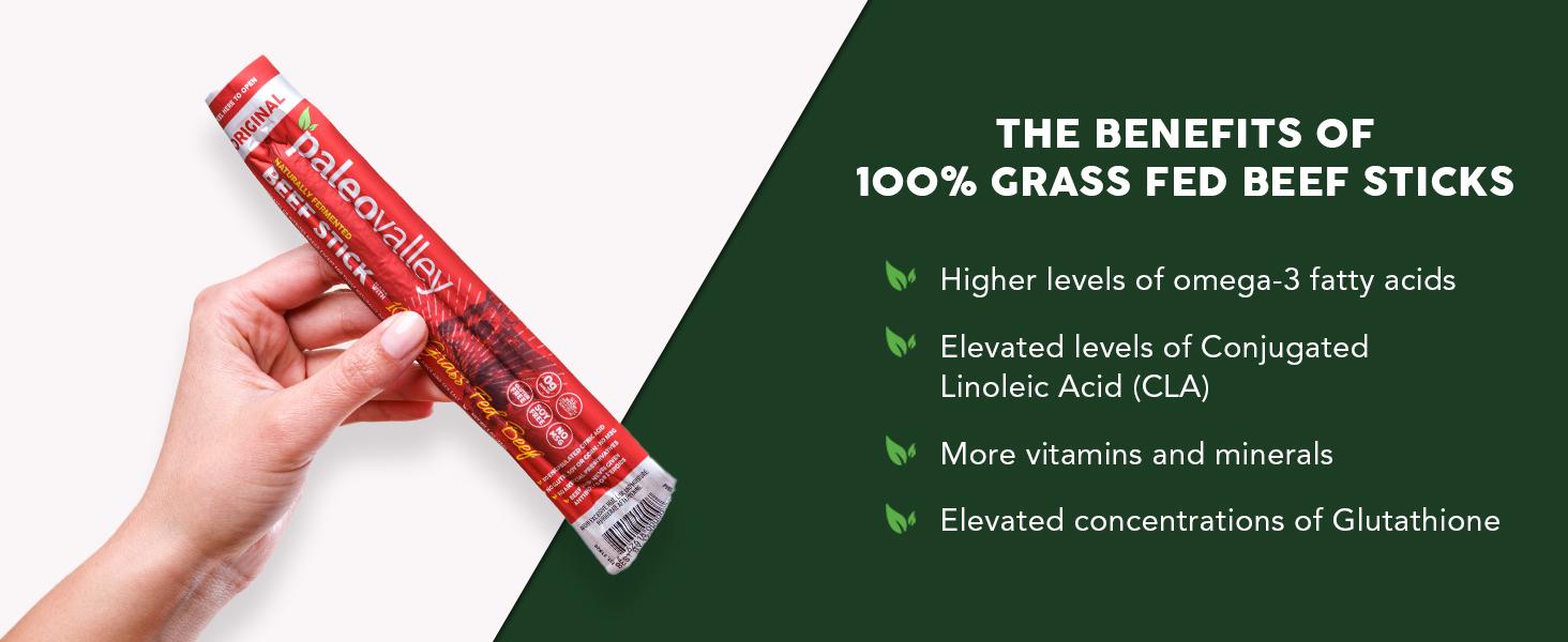Paleovalley 100% Grass Fed Beef Sticks - High Protein Gut Friendly Gluten Free 10 Count Beef Jerky Snack, Variety of Flavors