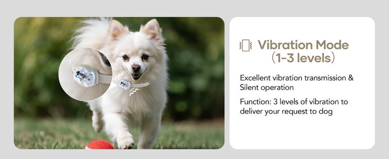 Jugbow Shock Collar for Small Dogs - 4200FT Dog Training Collar with Remote for 5-30lbs Mini Small Dogs, IPX8-Waterproof Rechargeable E-Collar with Beep (1-9), Vibration(1-3), Safe Shock(0-16) DT54