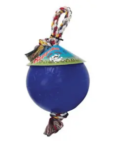 Jolly Pets The Romp-n-Roll™