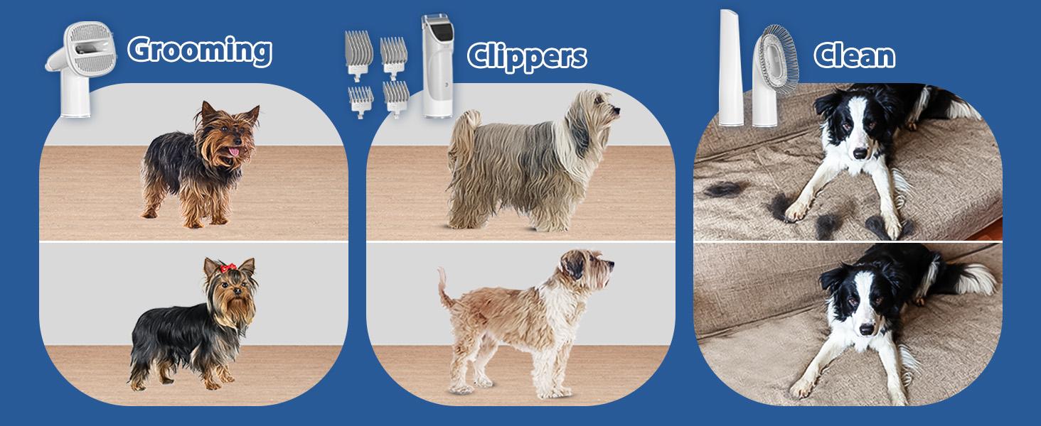 LMVVC Pet Grooming Vacuum Kit for Dogs & Cats, with 2.3L Suction, Cleaning Tools, Animals, Low-Noise Electric Puppy Cute