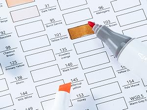 Ohuhu Alcohol Markers: Chisel and Fine Dual Tips - 48 Pastel Colors - AP Certificated - Double Tipped Art Marker Set for Artists Adults Coloring Illustration - Refillable - Oahu Series of Ohuhuart