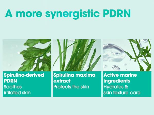 Vegan PDRN Spirulina Sherbet Mask (1g*10ea) - Cooling Routine for Summner Makeup - Soothing Modeling Mask - Cryo Mask - Korean Skin care Calming