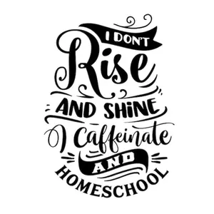 I Don't Rise and Shine 2x3 Magnet