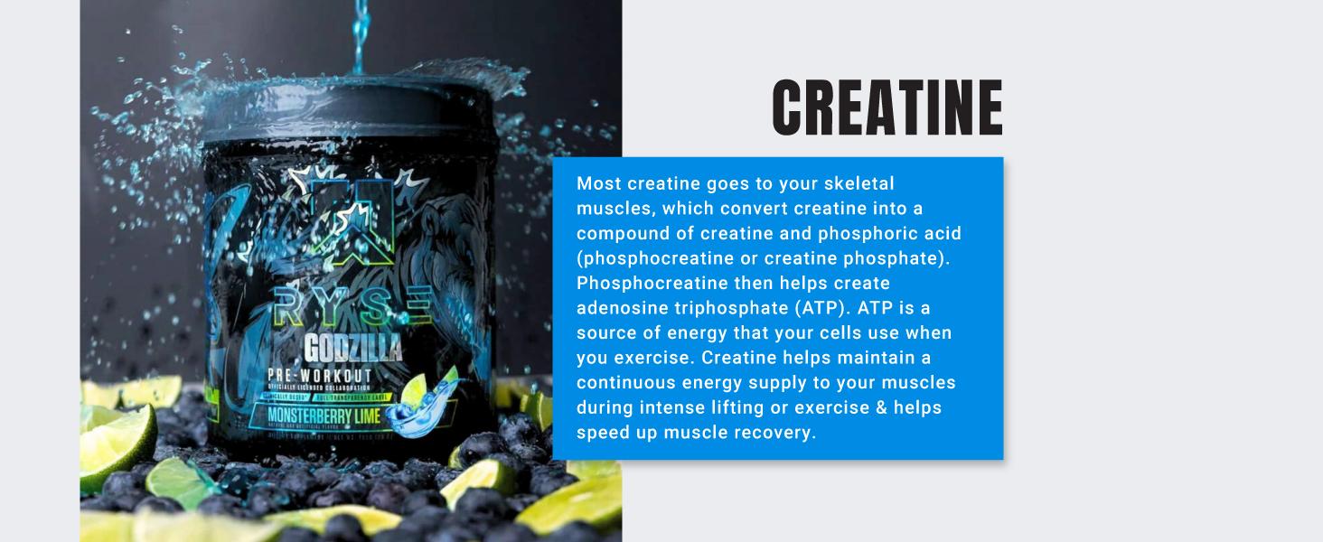 RYSE Godzilla Pre Workout Powder - Noel Deyzel Signature - 400mg Caffeine, High-Stim Energy Supplement with Beta Alanine - 40 Servings