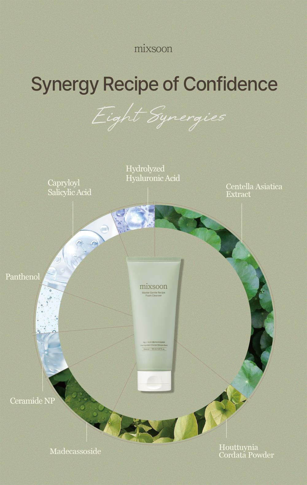 [mixsoon Official Shop] Master Gentle Recipe Foam Cleanser 5.07 fl.oz / 150ml - Korean Skincare for Glass Skin