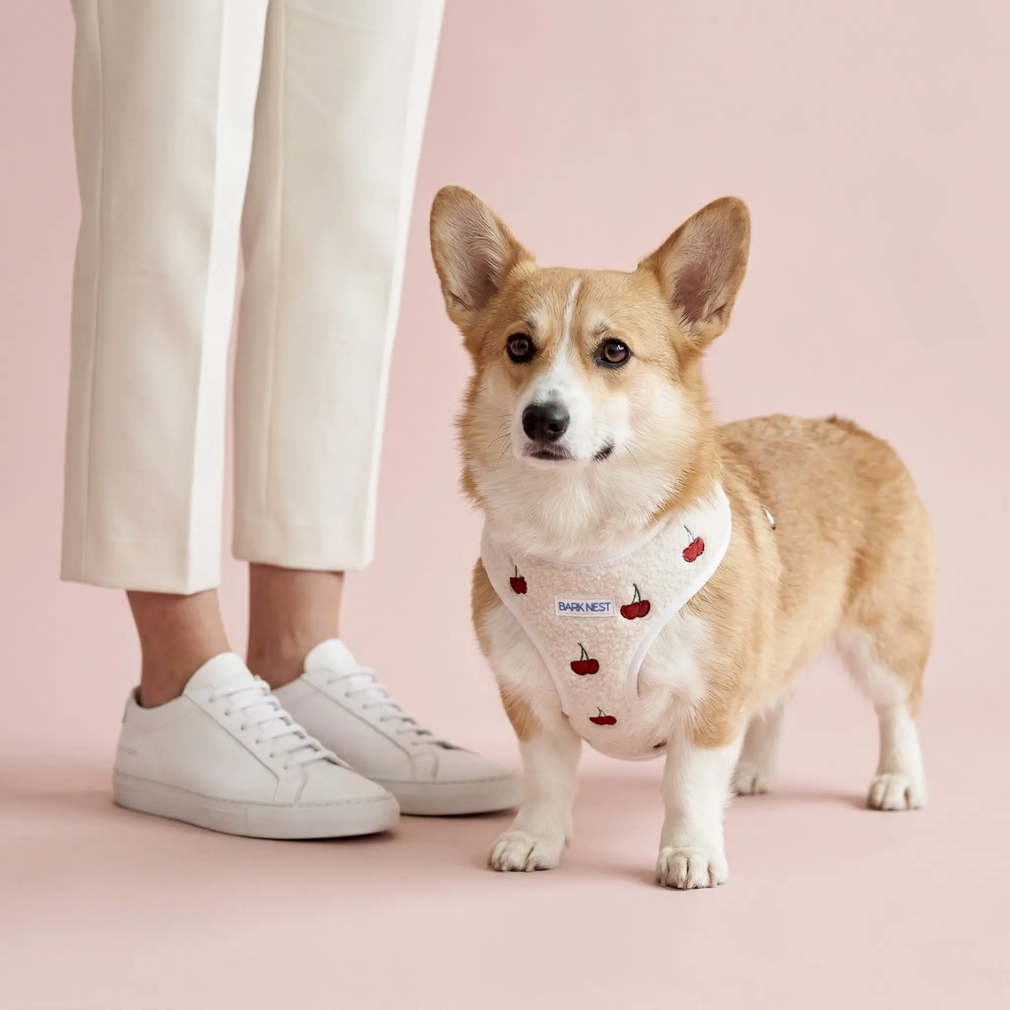 Cherry Cherie Dog Harness - Soft Creamy White Teddy Fabric with Embroidered Cherries, Adjustable Straps, Secure Locking Clip, Off White Mesh Lining