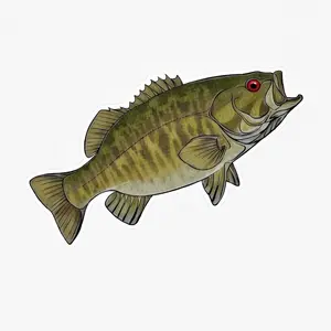 Smallmouth bass sticker - 3” X 2”