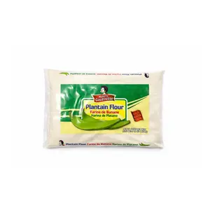 MADAME GOUGOUSSE PLANTAIN FLOUR 14OZ