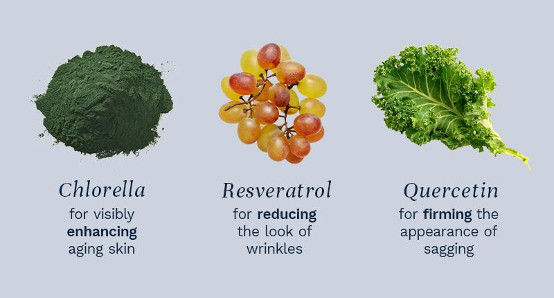 City Beauty Complete Skin Restore – Daily Supplement with Resveratrol, Quercetin & Chlorella | Supports Healthy Skin Structure, Collagen & Elasticity† | 60 Vegan Capsules to Promote a Firmer, Smoother-Looking Appearance from Head to Toe