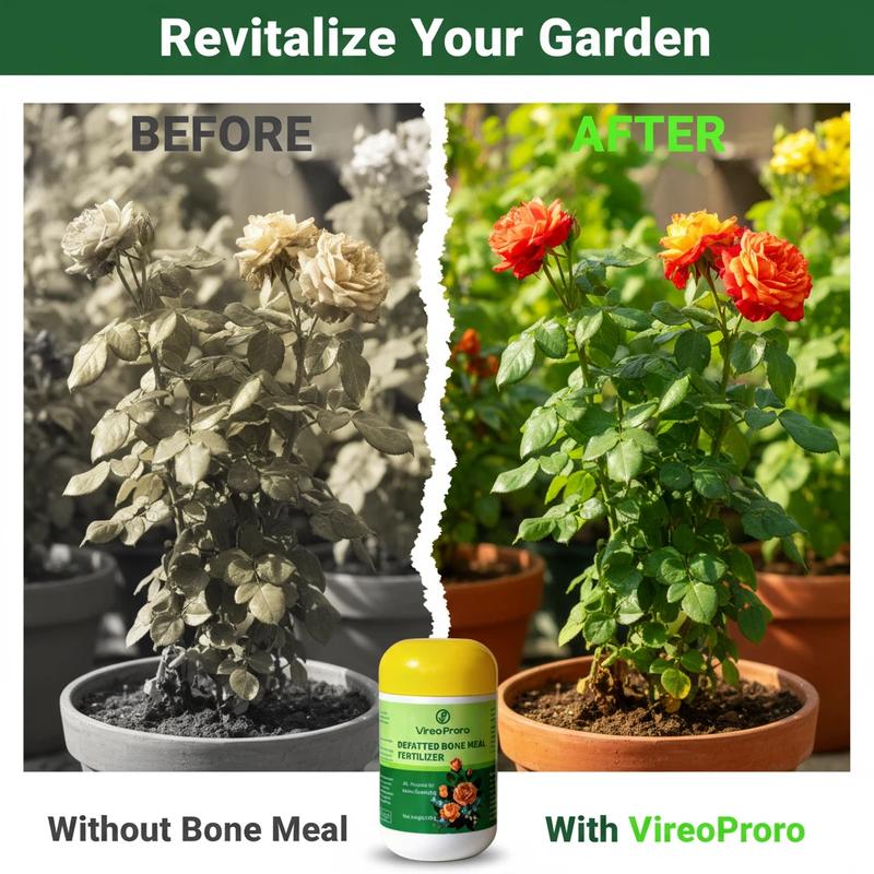 Premium Bone Meal Organic Plant Fertilizer | Natural Slow-Release Phosphorus & Calcium Boost | Strengthens Roots, Enhances Blooming, Improves Fruit Quality, and Promotes Long-Term Soil Health | Ideal for Flowers, Vegetables, Fruit Trees & Potted Plants de