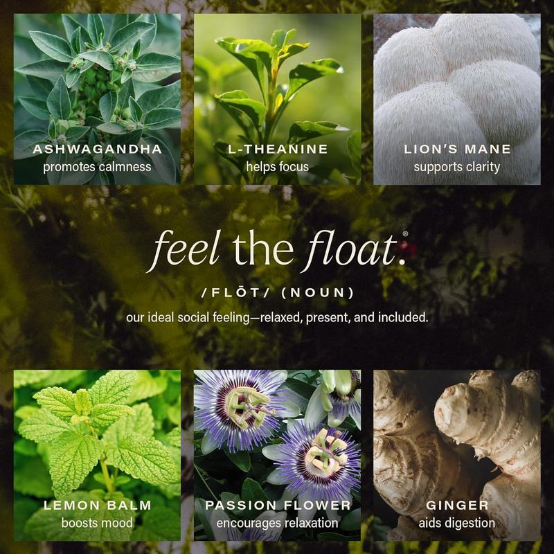 Hiyo Organic Social Tonic - Peach Mango, 12 FZ - N.A. Functional Seltzer, Sparkling Water Crafted with Organic Adaptogens, Nootropics & Botanicals