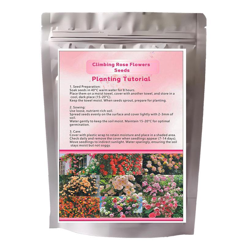 200 Pcs Climbing Rose  Seeds for Planting Outdoor-Perennial Rare Rose Flowers Plant for Your Grarden Home