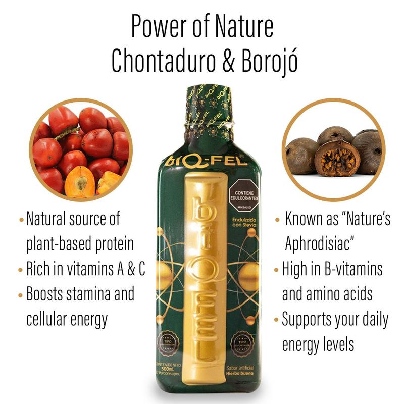 BIQ-FEL Natural Energy Booster 500ml – Chontaduro, Borojo & Guarana Blend – Daily Liquid Supplement for Focus, Energy & Vitality